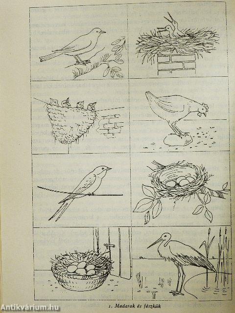 Környezetismeret az óvodában