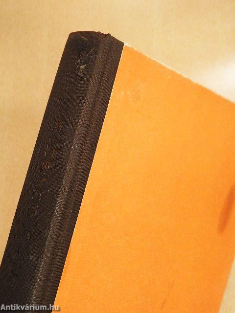 A modern háziasszony