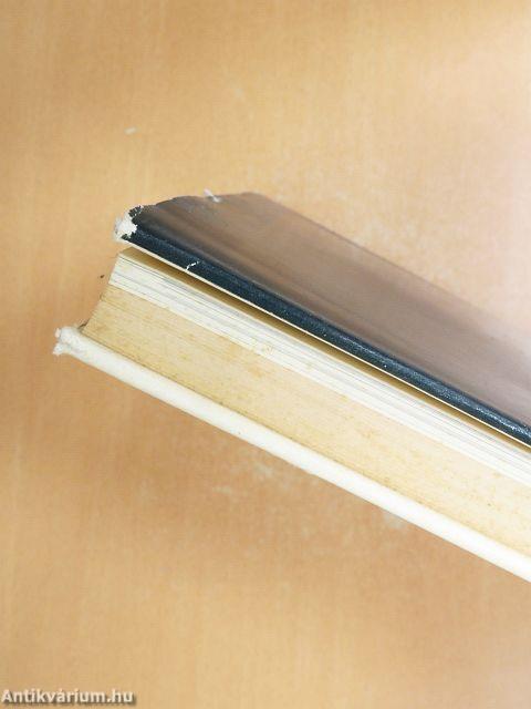 Die Gemäldegalerie des Kunsthistorischen Museums in Wien