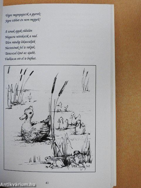 Aszófalvi históriák