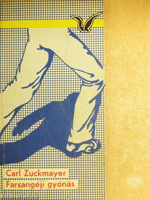 Farsangéji gyónás