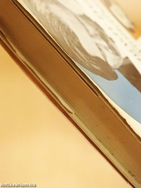 Magyar írók nyomában