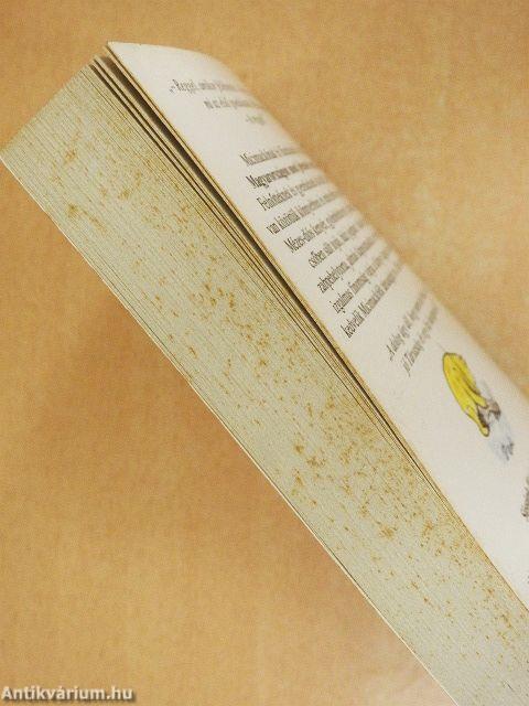 Micimackó mesterkukta és Barátai legjobb receptjei 