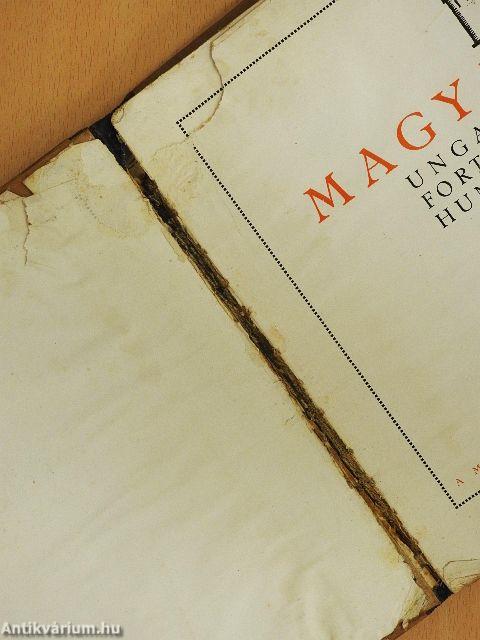 Magyar várak (rossz állapotú)