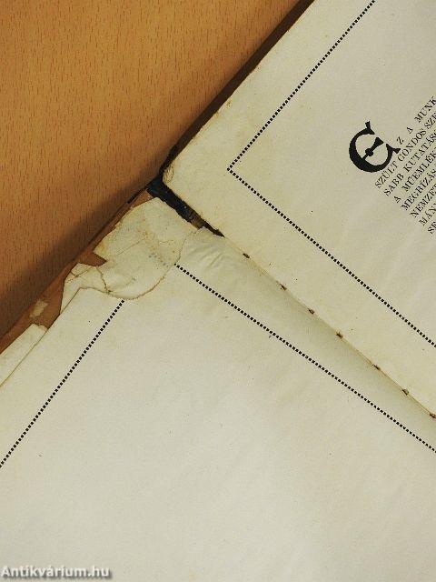 Magyar várak (rossz állapotú)