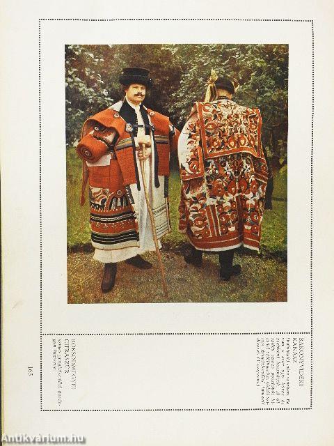 A magyaros ízlés (rossz állapotú)