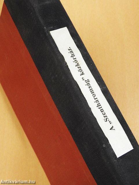 Győr Szabad Királyi Város Szentháromság Közkórházának multja és jelene (rossz állapotú)