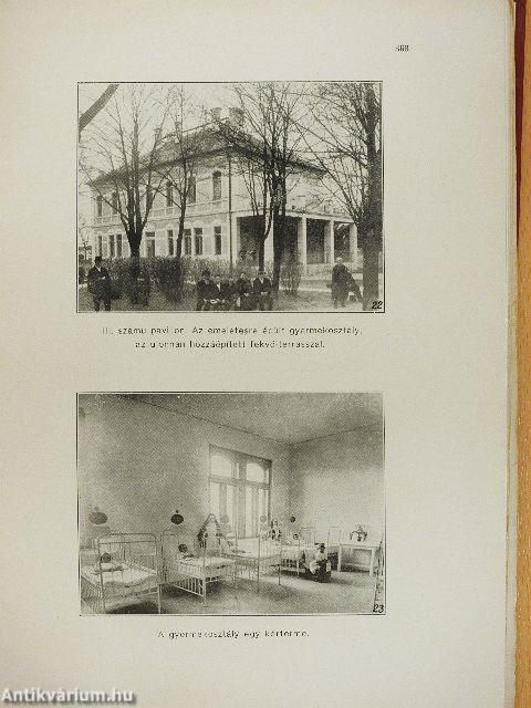 Győr Szabad Királyi Város Szentháromság Közkórházának multja és jelene (rossz állapotú)