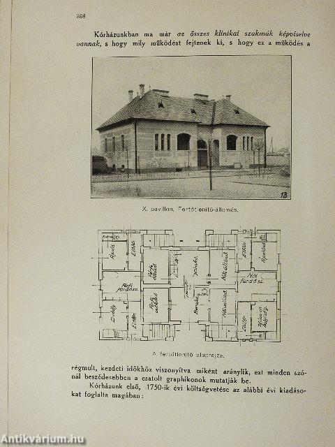 Győr Szabad Királyi Város Szentháromság Közkórházának multja és jelene (rossz állapotú)