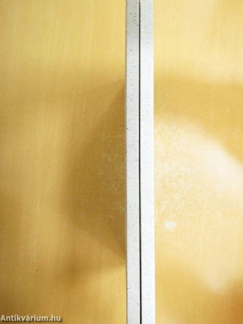 Józsefváros története I-II.