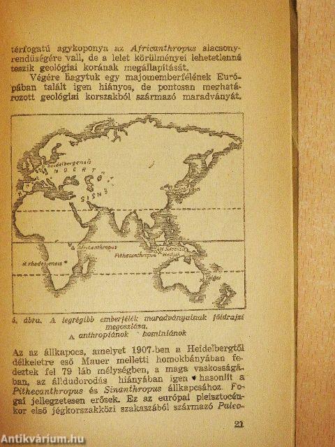 A vadembertől a civilizációig