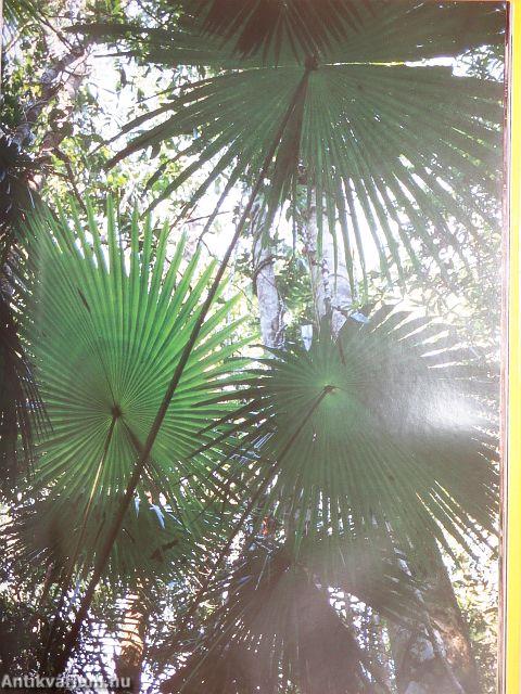 Die Erben der Schöpfung