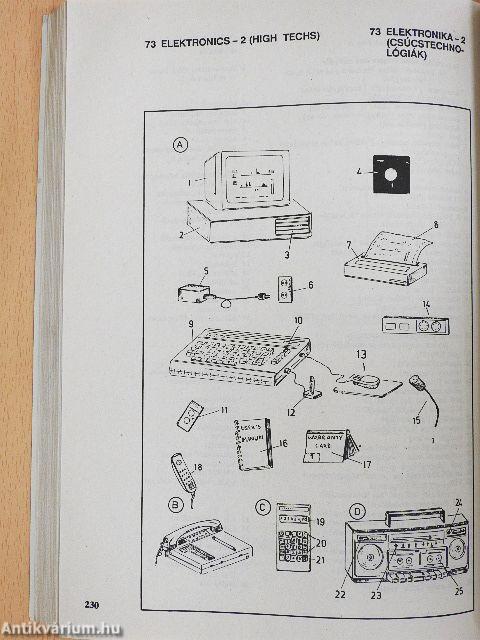 Képes brit és amerikai angol-magyar szótár