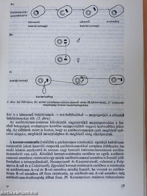 Korszerű antibiotikus kezelés