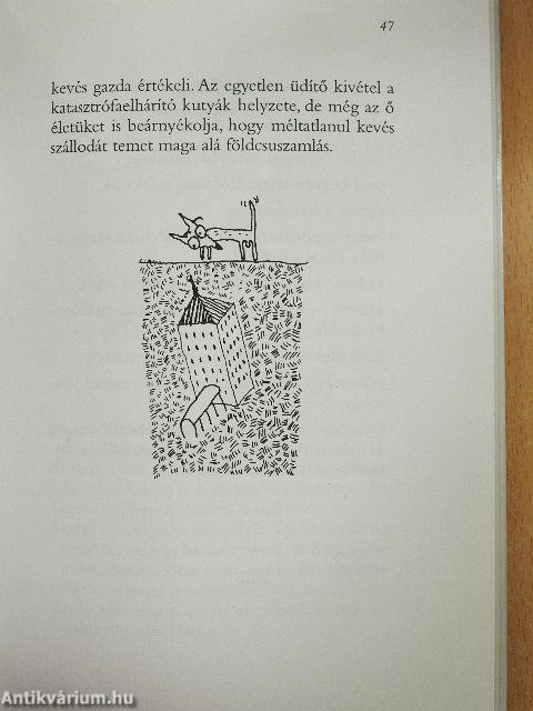 Kutya utónévkönyv