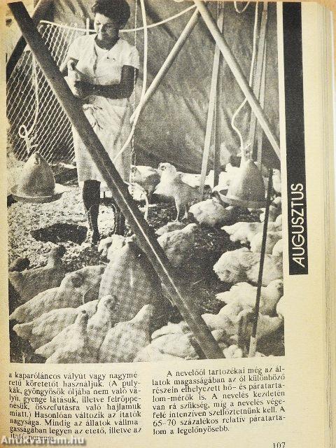 Az Élet és Tudomány Kalendáriuma 1989