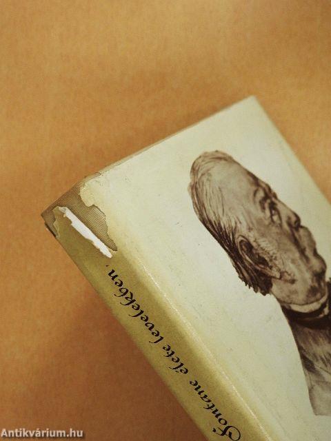 Theodor Fontane élete levelekben