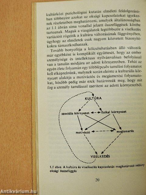 Kultúra és viselkedés