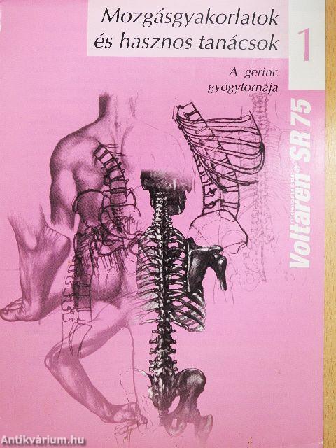 A gerinc gyógytornája