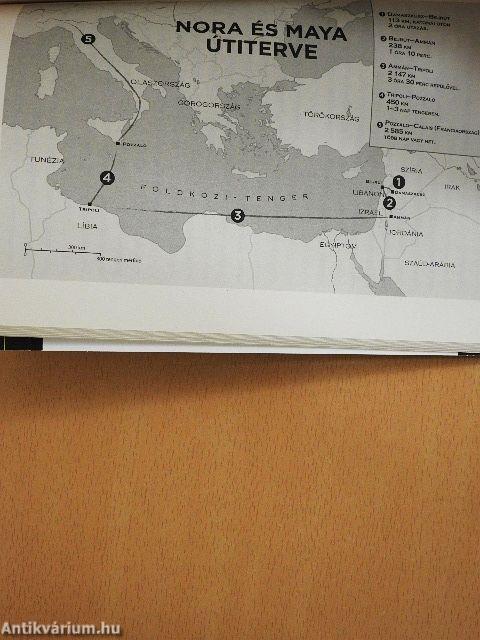 Két világ között