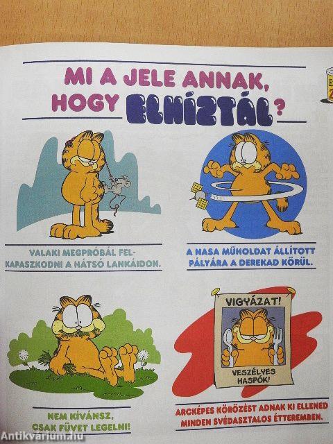 Garfield Kisokos