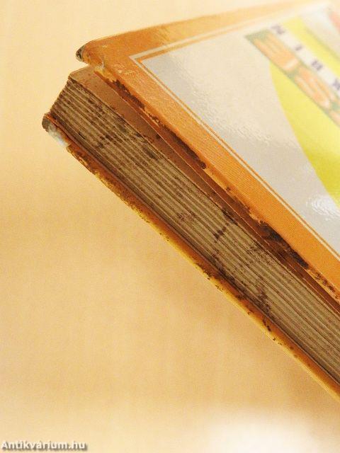 A világ felfedezése rajzos regényekben