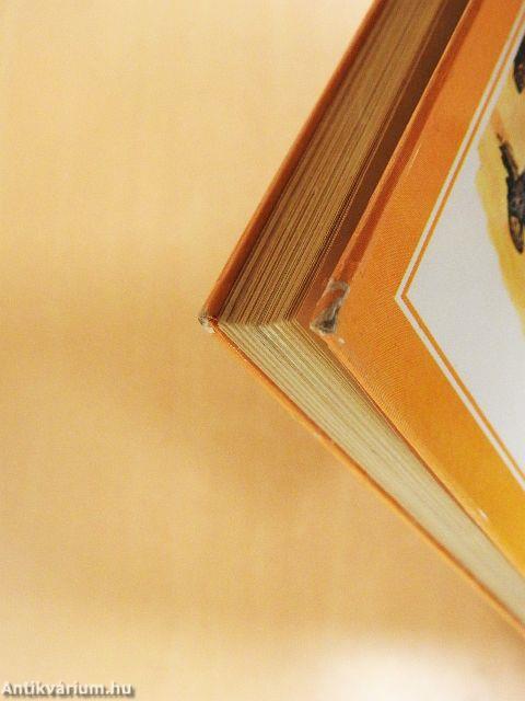 A világ felfedezése rajzos regényekben