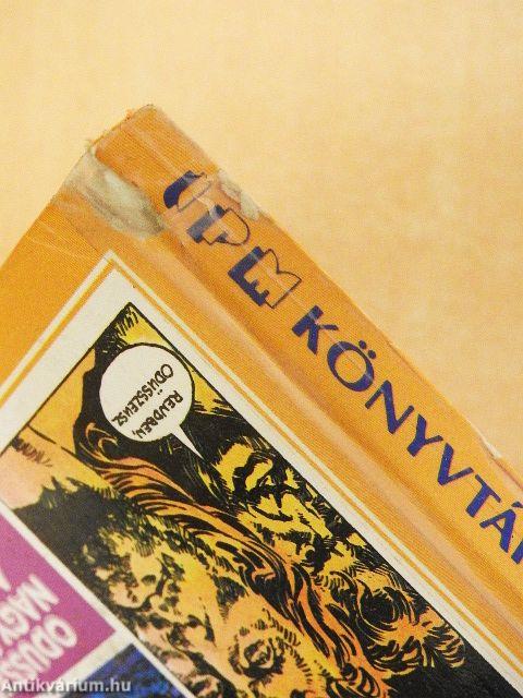 A világ felfedezése rajzos regényekben