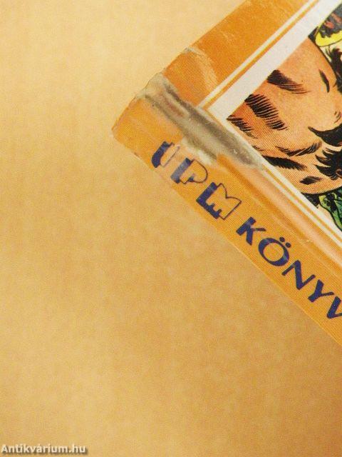 A világ felfedezése rajzos regényekben