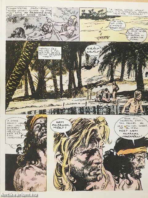 A világ felfedezése rajzos regényekben