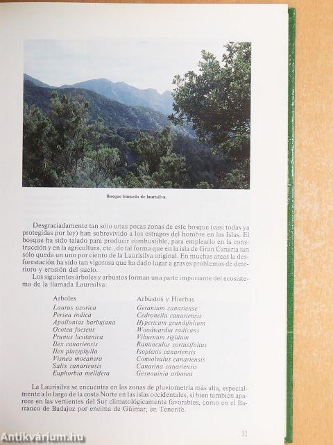 Flores Silvestres de las Islas Canarias