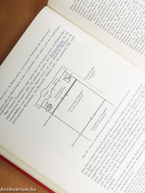 Lehrbuch der Pädiatrie