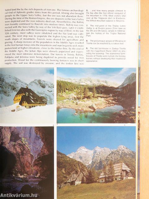 Greetings from Slovenia