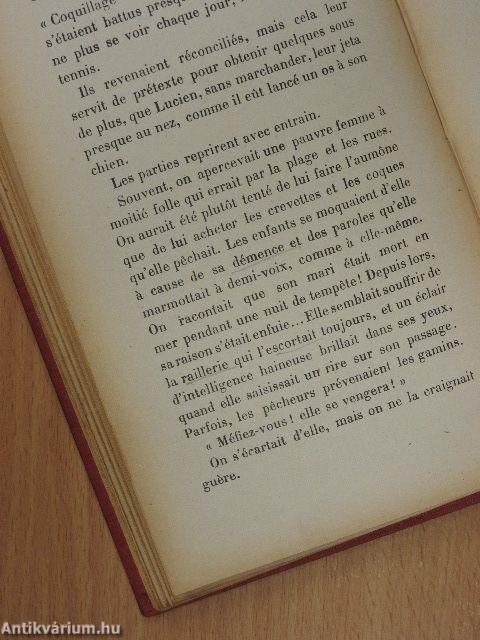 La Villa dans les Dunes