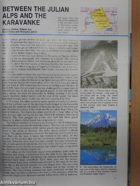 Greetings from Slovenia