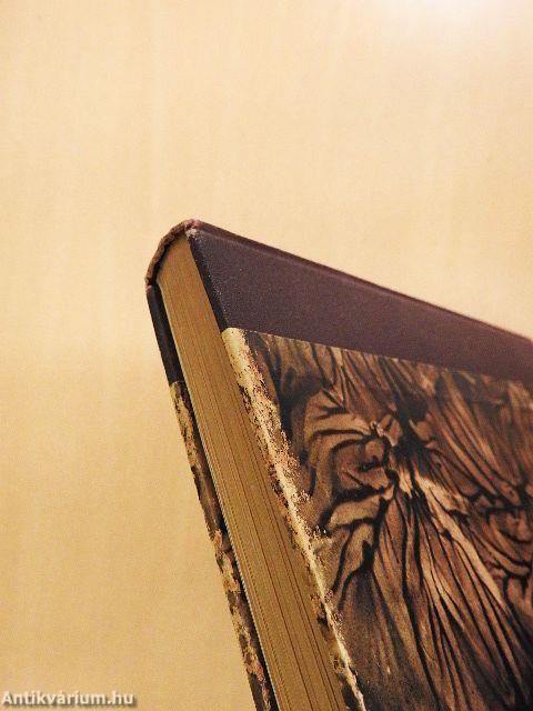 Az emberi test csodái