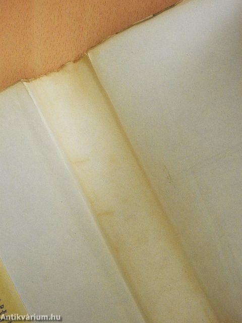 Nicholas Nickleby élete és kalandjai I-II.