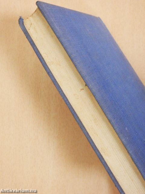 A mai francia regény