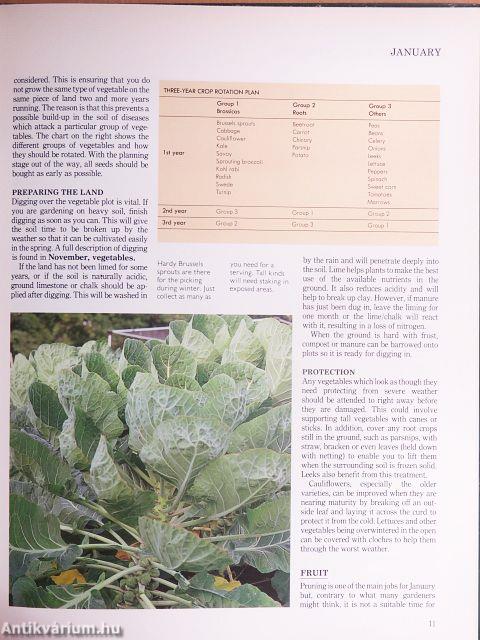 Gardening Month-by-Month