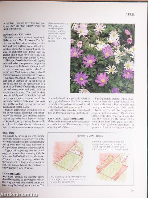 Gardening Month-by-Month