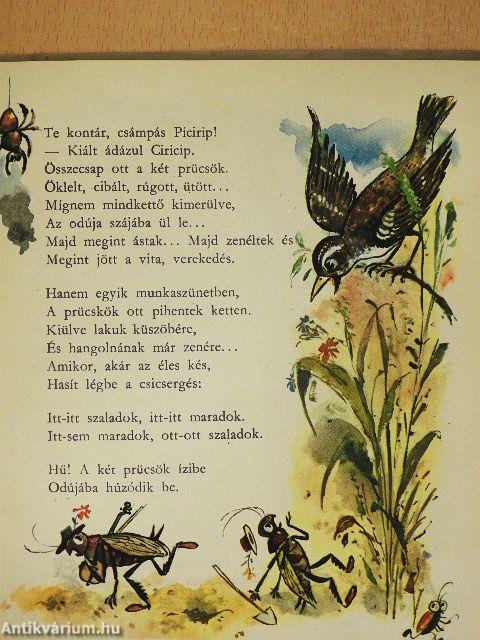 Kacor Dani csínyjei