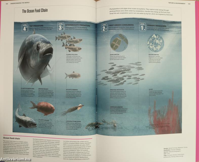 Understanding the World