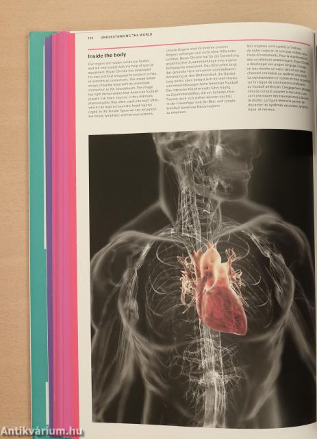 Understanding the World