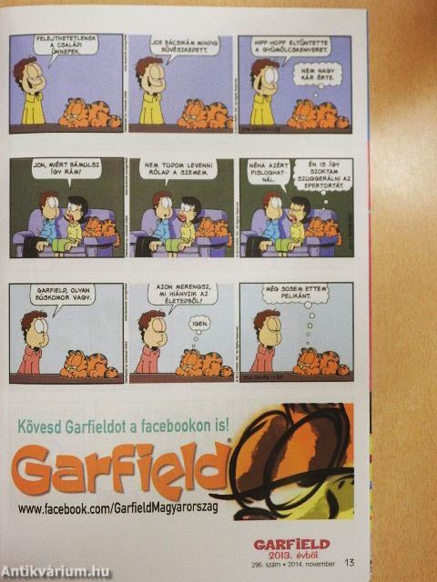 Garfield 2014. november