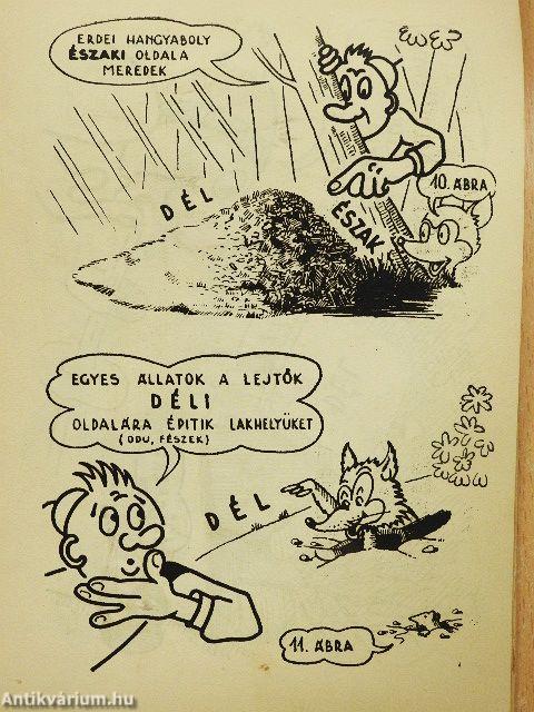 A világtájak ABC-je