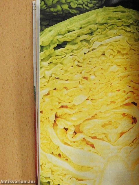 Vitaminok & ásványi anyagok