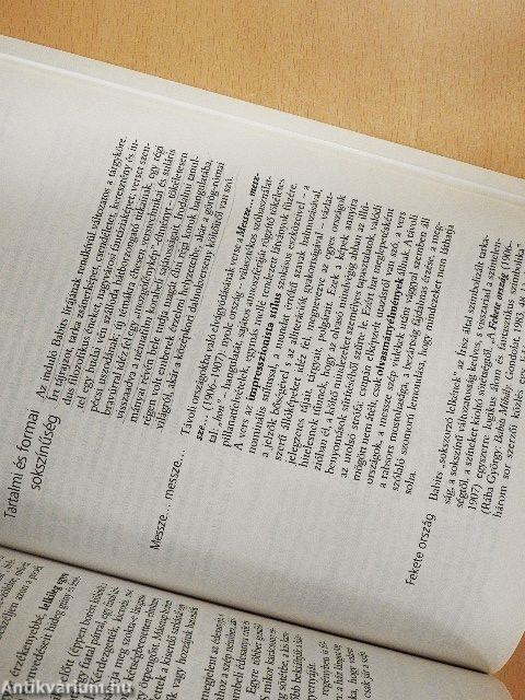 Ráadás az Irodalom 11. évfolyam című tankönyvhöz