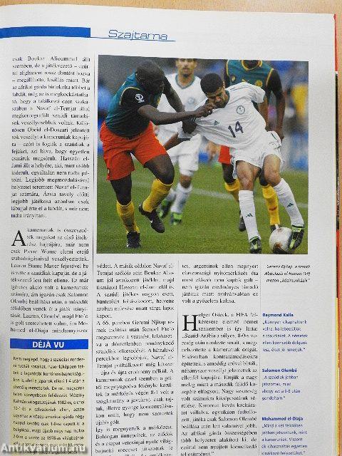 Futball-VB 2002