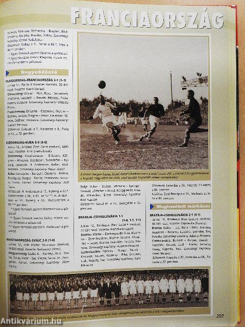 Futball-VB 2002