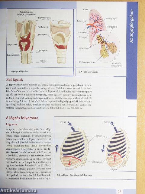 Biológia tankönyv 9-10/II.